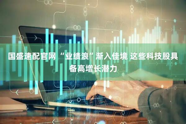 国盛速配官网 “业绩浪”渐入佳境 这些科技股具备高增长潜力