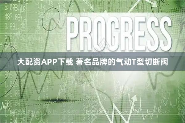 大配资APP下载 著名品牌的气动T型切断阀